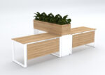 Avan Workstation Cluster of 2 with Planter Box White Side Planter Cabinet - Desk-Craft Office Furniture Dubai UAE