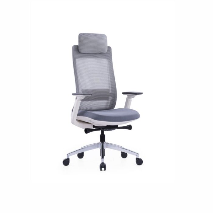 Dixon Mesh Ergonomic Chair - by Desk Craft Office Furniture in Dubai