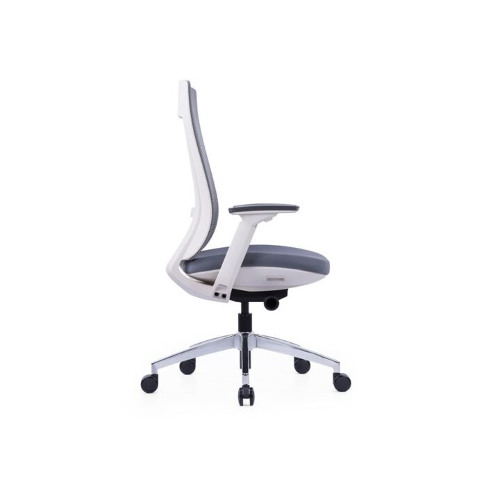 Dixon Mesh Ergonomic Chair - by Desk Craft Office Furniture in Dubai