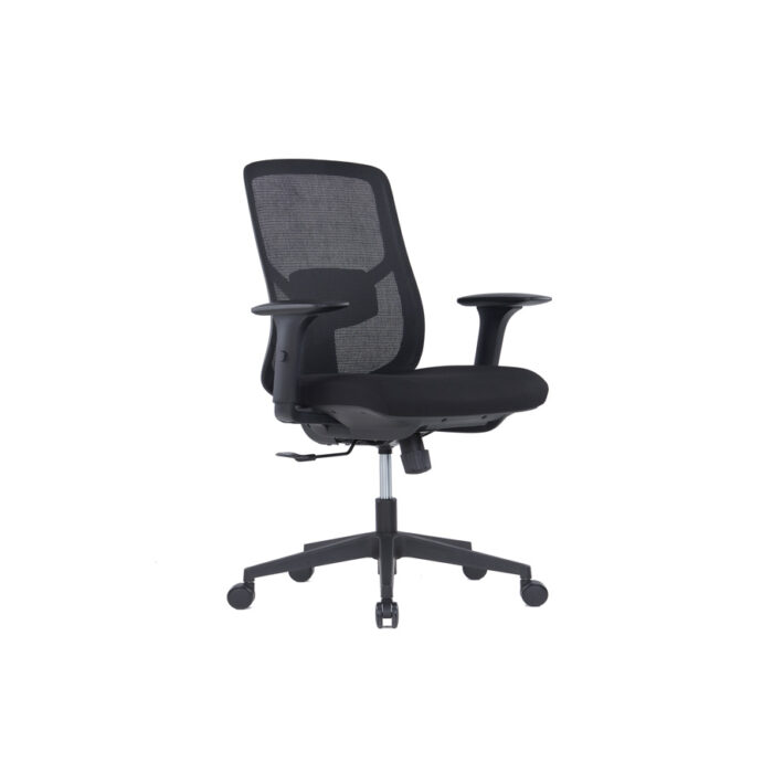 ORGO Low Back Ergonomic Mesh Chair - Desk Craft Adjustable Office Furniture in Dubai