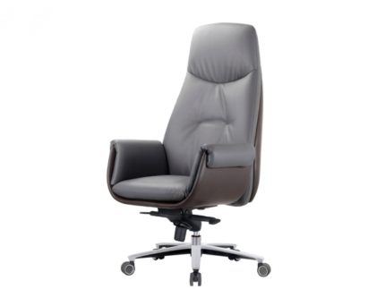 Felix Full Back & Mid Back Ergonomic Mesh Chair