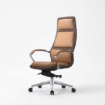 Ray Executive Office Chair – Premium Ergonomic [High/Mid] Back Task Chair with Aluminum Base