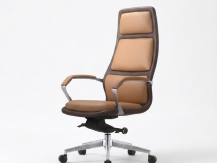 Ray Executive Office Chair – Premium Ergonomic [High/Mid] Back Task Chair with Aluminum Base