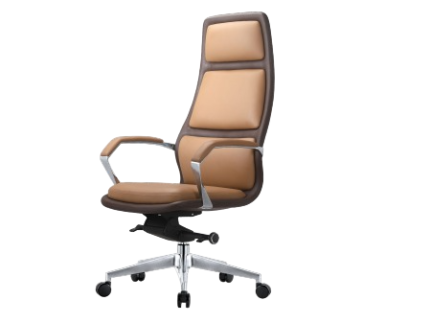 Ray Executive Office Chair