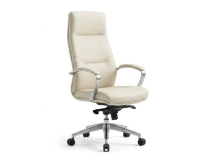 Solo Executive Series – Ergonomic Leather Task Chair