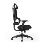 Delin Ergonomics Premium Orthopedic Office Chair – High-Back with Adjustable Headrest & Mid-Back Desk Chair Options, Full Mesh Backrest, 3D Lumbar Support, Multi-Functional Armrests, Heavy-Duty Nylon Wheels (Black)