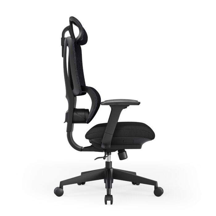 Delin Ergonomics Premium Orthopedic Office Chair – High-Back with Adjustable Headrest & Mid-Back Desk Chair Options, Full Mesh Backrest, 3D Lumbar Support, Multi-Functional Armrests, Heavy-Duty Nylon Wheels (Black)