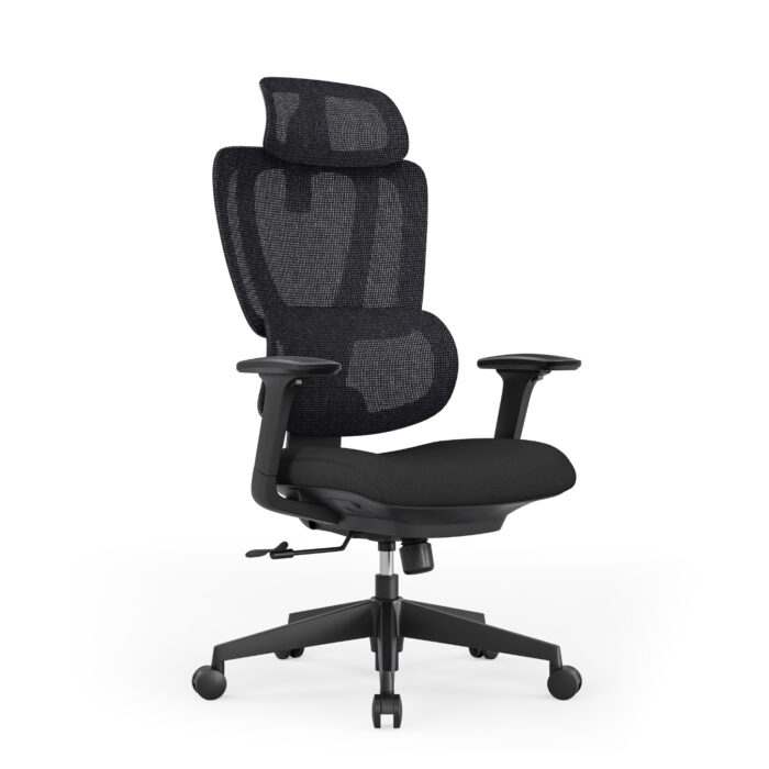 Vertex Ergonomics Premium Orthopedic Office Chair – High-Back with Adjustable Headrest & Mid-Back Desk Chair Options, Full Mesh Backrest, 3D Lumbar Support, Multi-Functional Armrests, Heavy-Duty Nylon Wheels (Black)