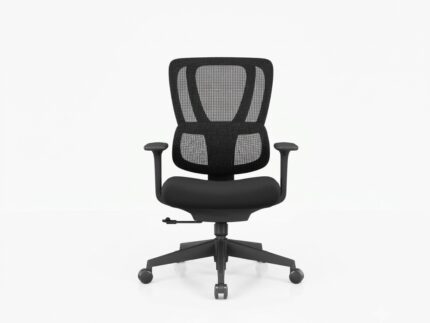 Delin Ergonomics-Premium-Orthopedic-Office-Chair-High