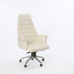 Coral Executive & Task Chair Series – Premium Ergonomic Office Seating