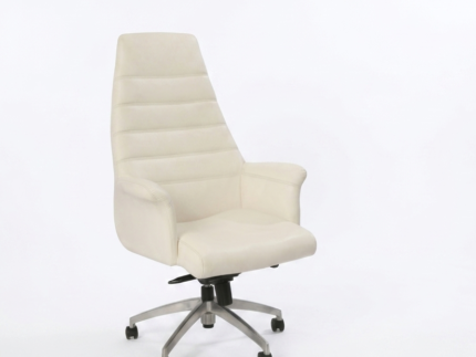 Coral Executive & Task Chair Series – Premium Ergonomic Office Seating