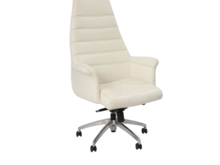 Coral Executive & Task Chair Series