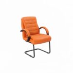 Crystal Visitor Chair | PP Padded Arms | Black Metal Cantilever Base | Premium Office Visitor Chair