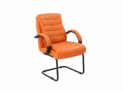 Crystal Visitor Chair | PP Padded Arms | Black Metal Cantilever Base | Premium Office Visitor Chair