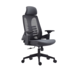 Mojanah Ergonomic High-Back and Mid Back Mesh Office Chair
