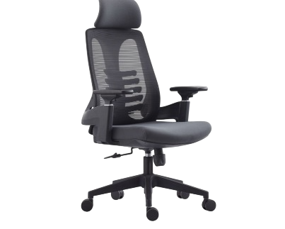 Mojanah Ergonomic High-Back and Mid Back Mesh Office Chair