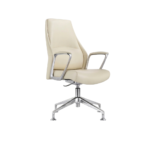 Cilon Visitor Leather Chair