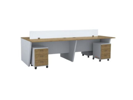 CANIL Workstation Cluster of 4 Face to Face