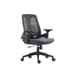 Mojanah Mid Back Chair