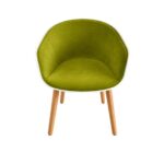 ZENY Olive Green Modern Multifunctional Chair